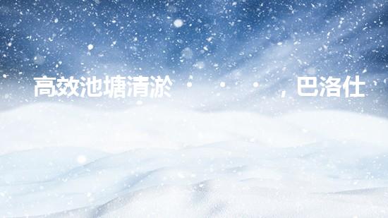 高效池塘清淤，巴洛仕設(shè)備助您一臂之力